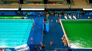 Calling all swamp things: Olympic pools turn murky green
